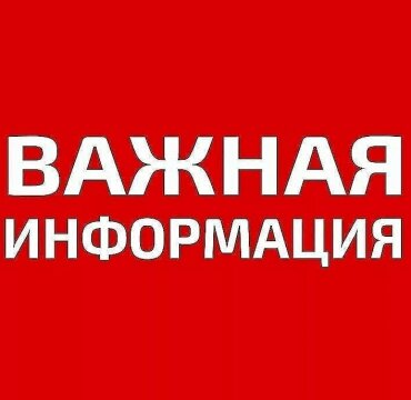 Тизер